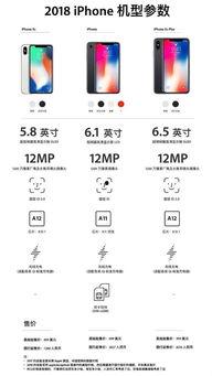 蘋果價格最新爆料圖今天,行情波動，市場動態(tài)一覽