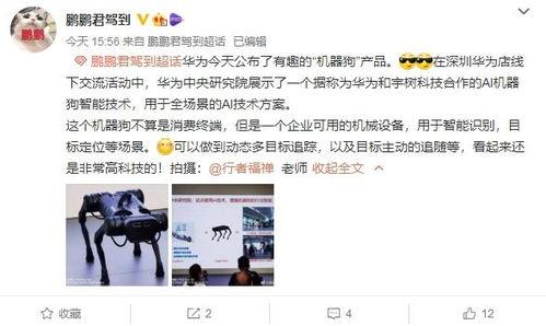 大狗最新爆料圖片,神秘圖片揭示驚人內(nèi)幕