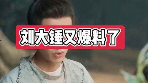 劉大錘的最新爆料是什么,揭秘娛樂圈驚人內幕