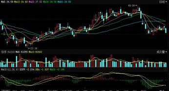 東港股份最新爆料消息,揭秘企業(yè)轉(zhuǎn)型新動向與市場布局策略
