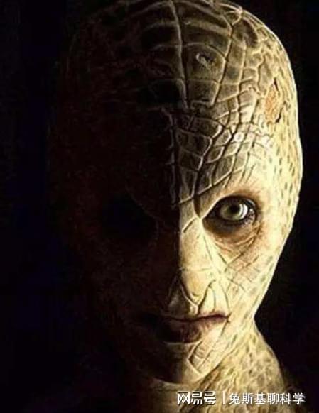 斯諾登的最新爆料是真的嗎,揭秘真實與否的真相揭秘