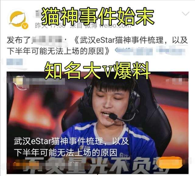 貓神最新爆料,揭秘電競圈幕后風云