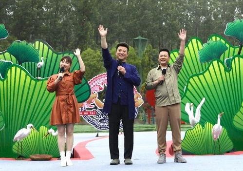 無機殺手最新爆料視頻,最新爆料視頻深度解析