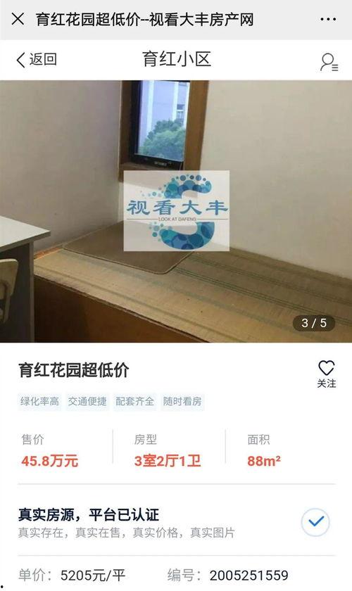 大豐房產爆料最新消息今天,今日熱點聚焦，揭秘房產市場新動態！”