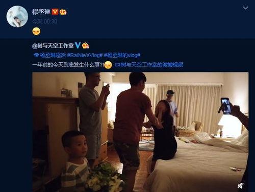 最新一周年爆料視頻大全,最新爆料視頻大全精彩回顧