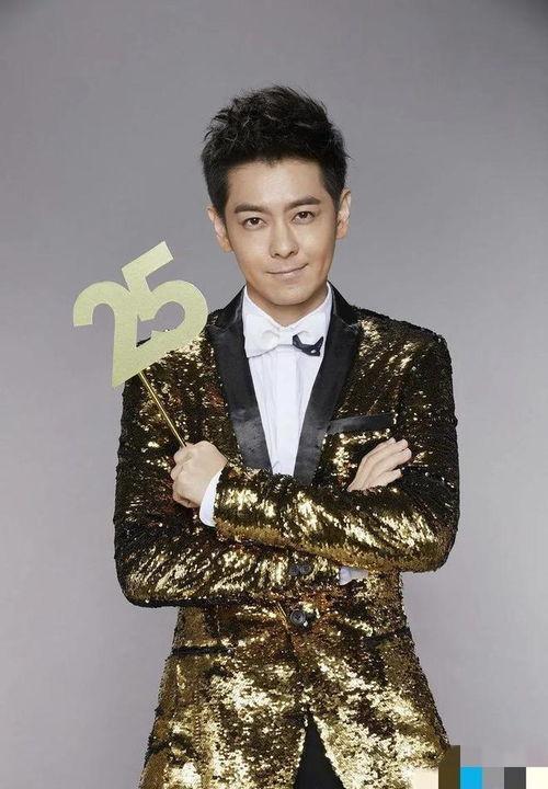 林志穎最新爆料,揭秘他的明星生活與家庭幸福