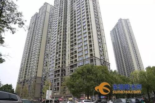 善璉鎮(zhèn)房價最新爆料,最新爆料揭示區(qū)域房產市場新動態(tài)”