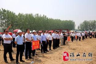 碭山事件爆料最新消息新聞,真相逐步浮出水面，官方調查結果即將公布