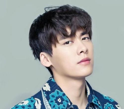 李易峰最新吃瓜爆料,揭秘娛樂圈背后的驚人真相