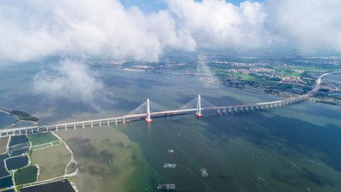 湛江跨海大橋最新爆料,最新工程進展揭秘，未來交通樞紐矚目呈現